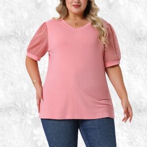 Pink V-Neck Top with Sheer Sleeves NWT 26”P2P 29”length